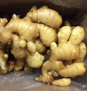Fresh Ginger