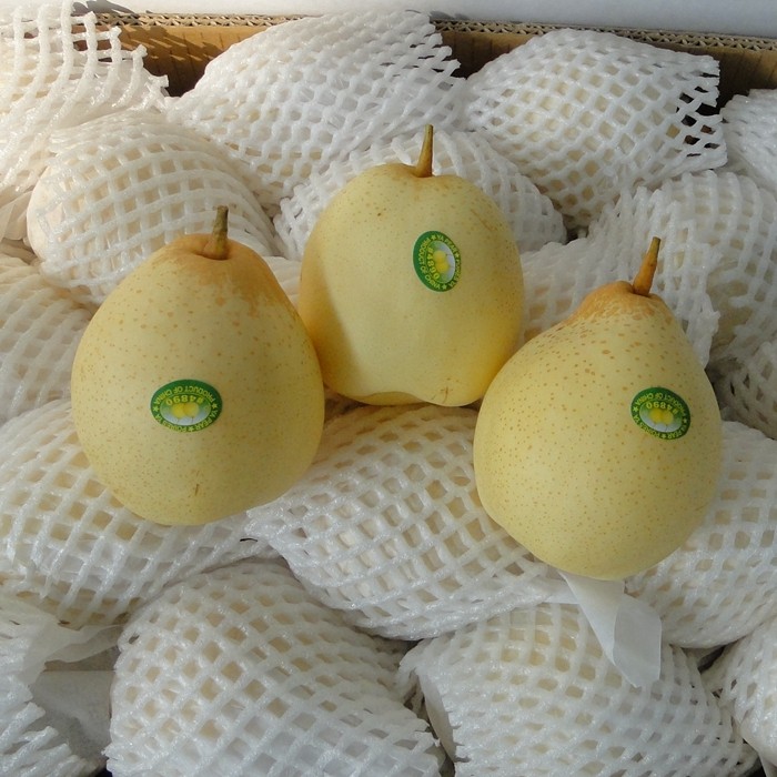 Fresh Ya Pear 