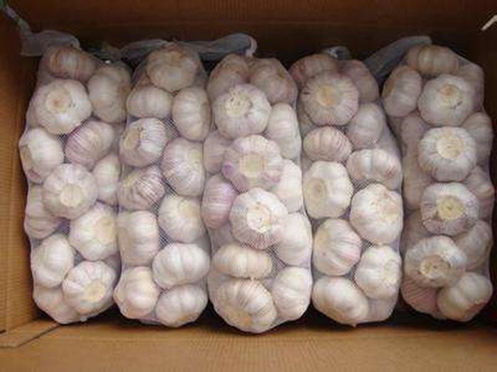 Chinese Normal White  Fresh Garlic