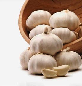 Chinese Normal White  Fresh Garlic